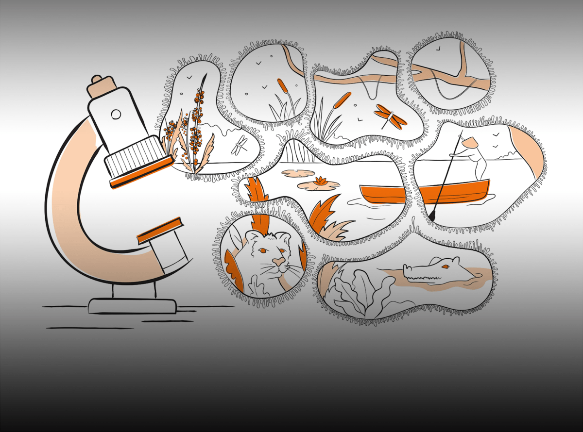 Digital illustration for 2021/2022 Annual Impact Report.