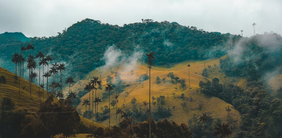 Colombia’s Climate Finance Broker Facility photo cover
